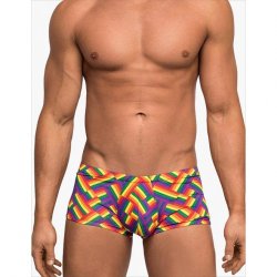 Male Power: Pride Fest Mini Short - Medium Male Power: Pride Fest Mini Short - Medium Boxcover