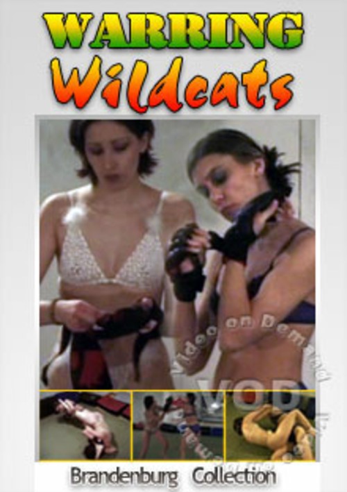 Warring Wildcats