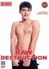 Raw Destruction Boxcover