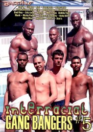 Interracial Gang Bangers #5 Boxcover