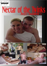 Nectar of the Twinks Boxcover