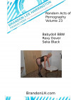 Random Acts of Pornography Volume 23 Boxcover