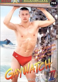 Gaywatch 2 Boxcover