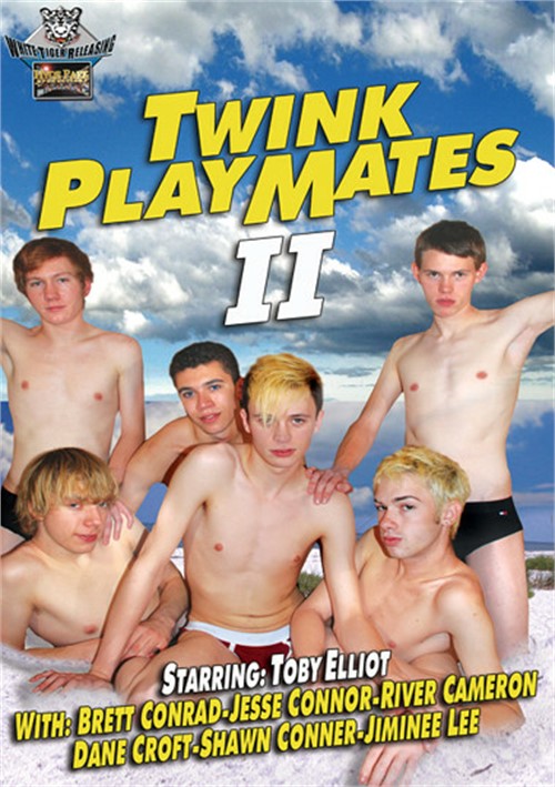Twink Playmates 2 Boxcover