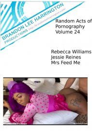 Random Acts of Pornography 24 Boxcover