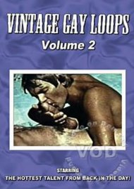Vintage Gay Loops Volume 2 Boxcover