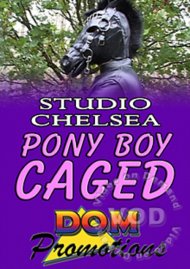 Studio Chelsea - Pony Boy Caged Boxcover