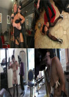 Whipping and Spanking Bondage BDSM Lovers Submissive Sluts Boxcover