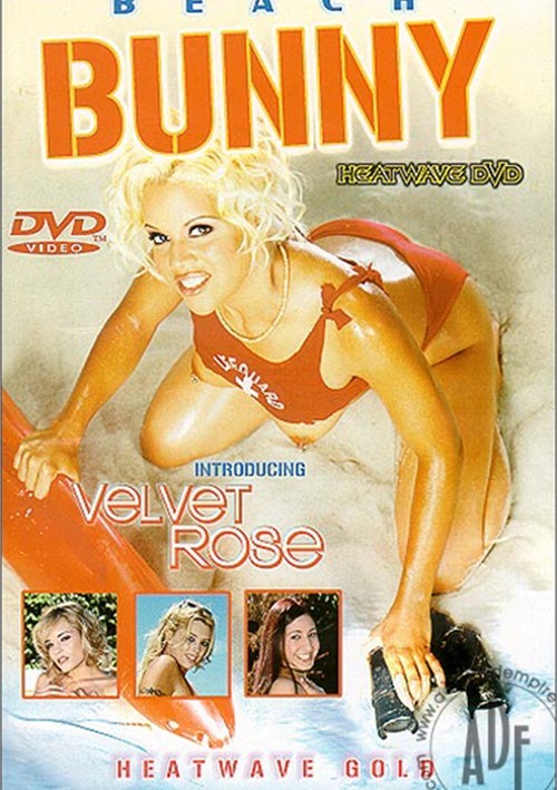 Beach Bunnies - Beach Bunny (2002) | Adult DVD Empire