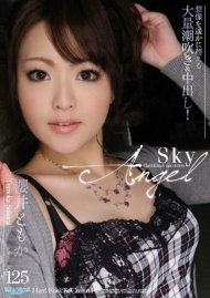 Sky Angel 125 Boxcover
