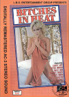 Bitches In Heat Vol. 16 Boxcover