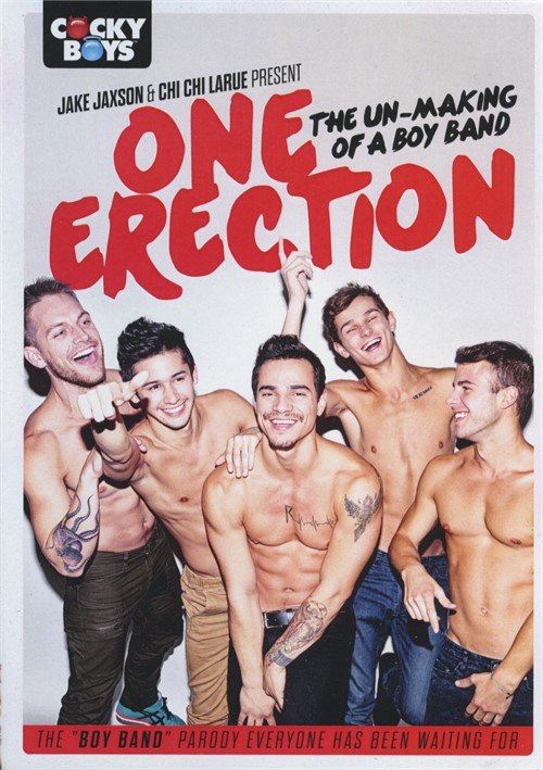 500px x 709px - Rent One Erection: The Un-Making Of A Boy Band | CockyBoys ...