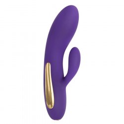 Evolved Aurora - Purple Evolved Aurora - Purple Boxcover