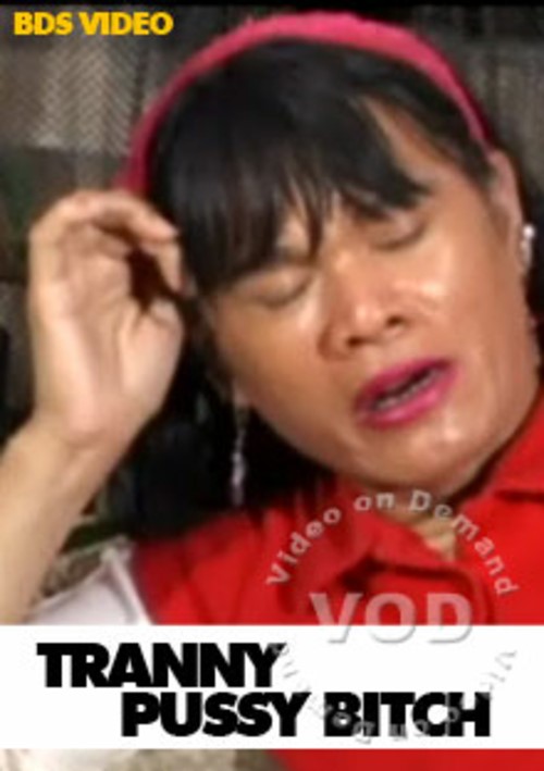 Tranny Pussy Bitch