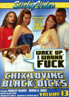 Chix Loving Black Dicks #13 Boxcover