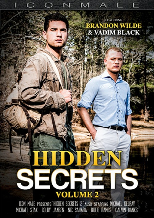 Hidden Secrets 2 Capa