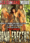 Homo Erectus Boxcover