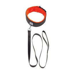 The 9's: Orange Is The New Black Short Leash The 9's: Orange Is The New Black Short Leash Boxcover