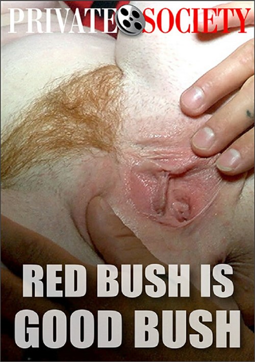 Red Bush Is Good Bush
