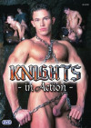 Knights In Action Boxcover