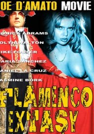 Flamenco Extasy Boxcover