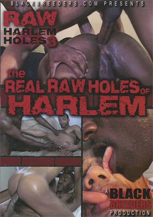 Real Raw Holes of Harlem: Raw Harlem Holes 3, The Boxcover