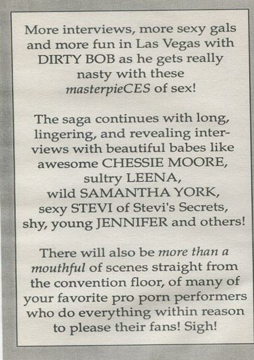 Dirty Bob s Xcellent Adventures Vol 5 Vegas MasterpieCES 1992  