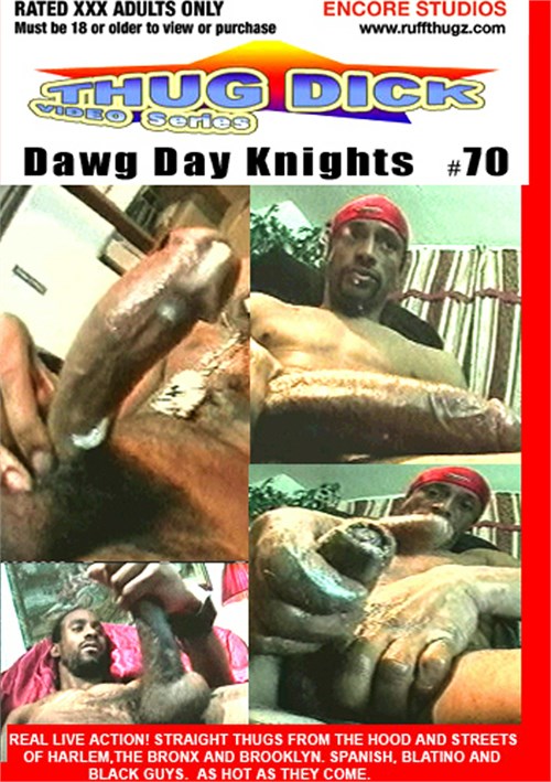 Dawg Day Knights Boxcover