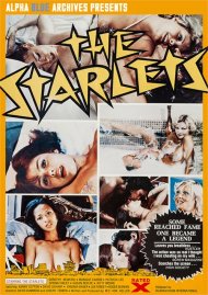 Starlets, The Boxcover