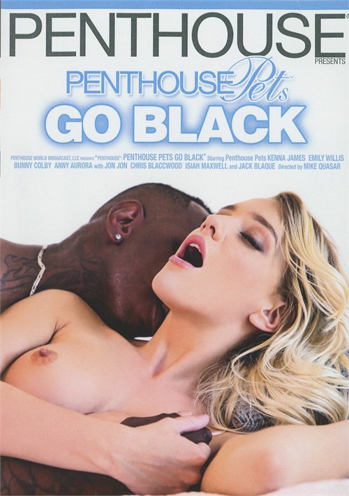 Penthouse Porn Free Vision Hd - Penthouse Pets Go Black (2021) | Adult Empire