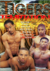 Tiger's Temptation Boxcover