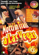 Notti in Trans a Las Vegas Porn Video