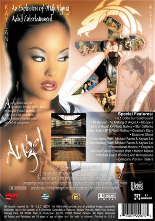 Back cover of Angel X