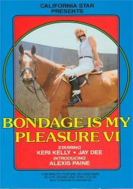 Bondage is My Pleasure Series 6 Boxcover