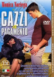 Cazzi a pagamento Boxcover