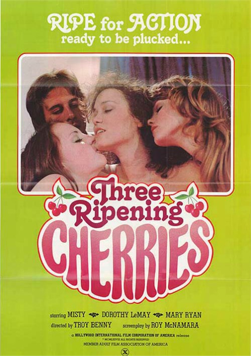 Three Ripening Cherries