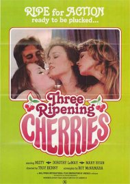 Three Ripening Cherries Boxcover