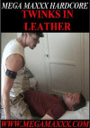 Twinks In Leather Boxcover