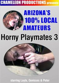 Horny Playmates 3 Boxcover