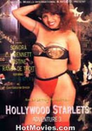 Hollywood Starlets v.3 Boxcover