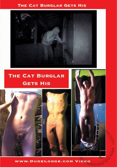 Cat Burglar Gets His, The Boxcover