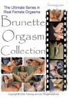 Brunette Orgasm Collection Boxcover