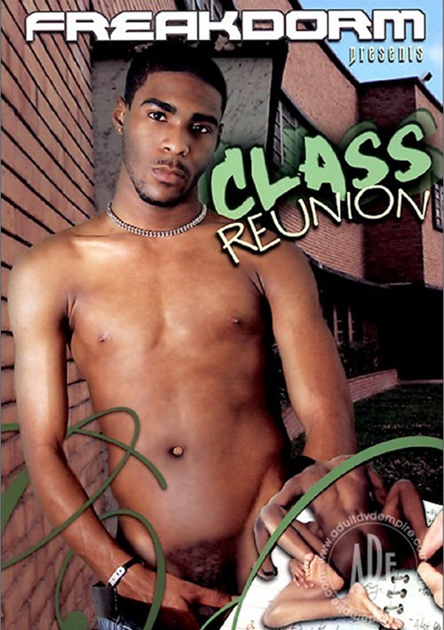 Freakdorm: Class Reunion Boxcover