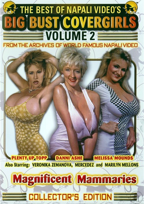 Big Bust Covergirls Vol. 2