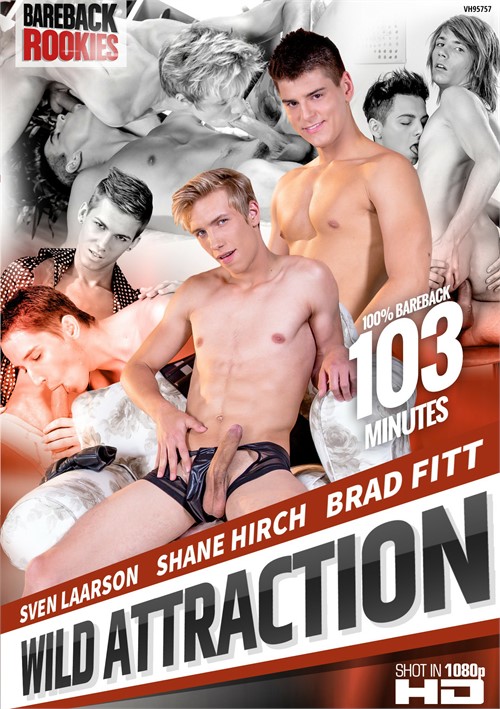 Wild Attraction Boxcover