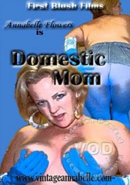Domestic Mom Boxcover