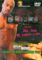 Bricks Boxcover