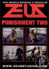 Punishment 2 Boxcover