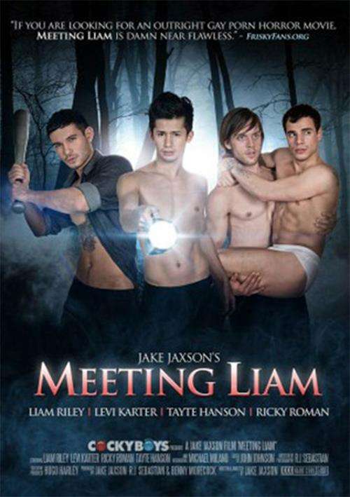 Meeting Liam Boxcover
