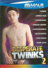 Desperate Twinks Vol. 2 Boxcover